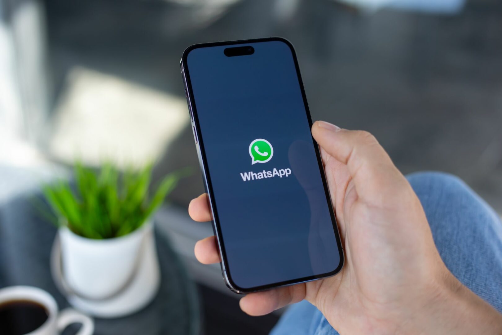Ce pot face utilizatorii de WhatsApp pe iPhone după cel mai recent update al aplicației?